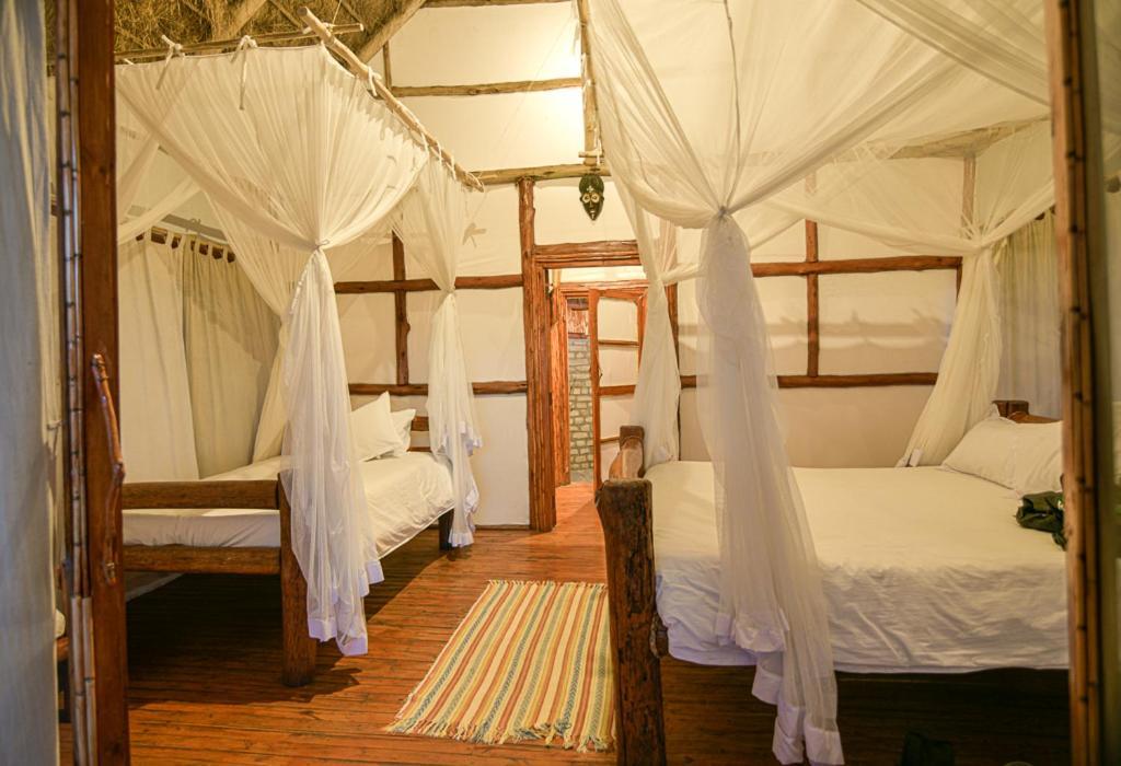 Kazinga Wilderness Safari Camp Hotel Kasese Eksteriør billede