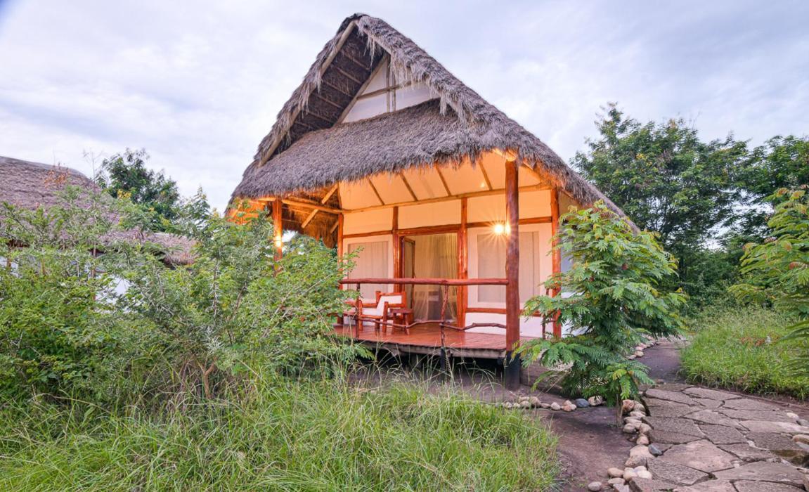 Kazinga Wilderness Safari Camp Hotel Kasese Eksteriør billede
